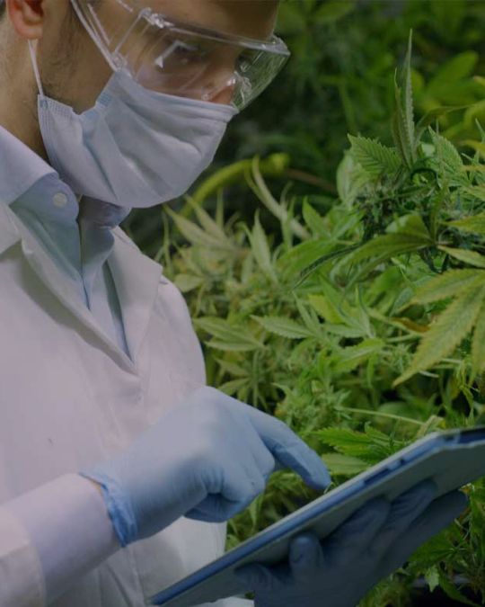 The Art of Making Cured Resin A StepbyStep Guide Atrium Magazine